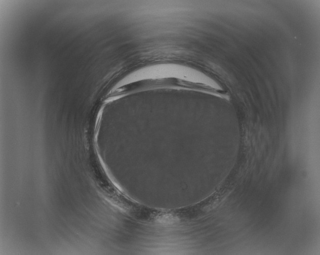 X0000066510258200604141755