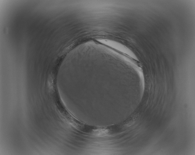 X0000066510266200604141756