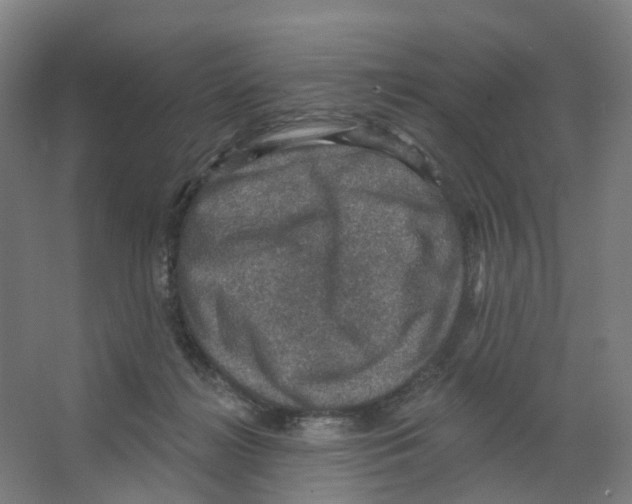 X0000066510268200604141756