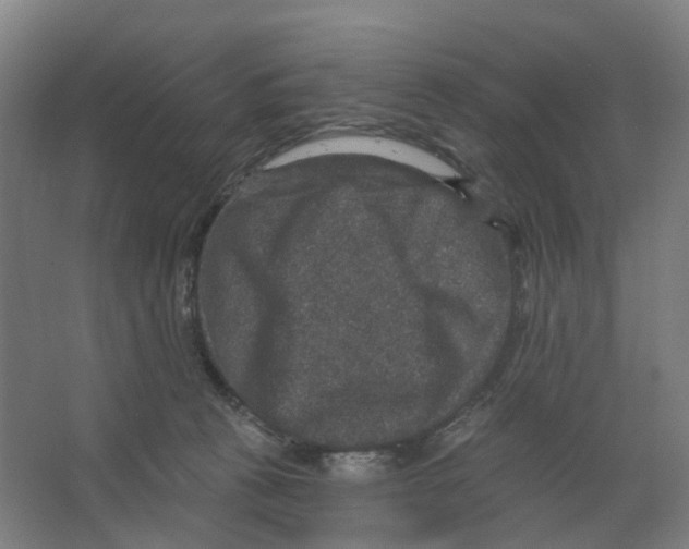 X0000066510273200604141756