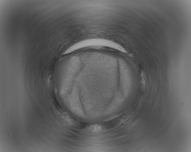 X0000066510276200604141756