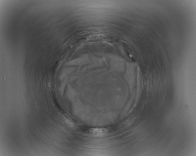 X0000066510277200604141756