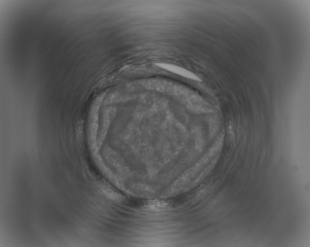 X0000066510278200604141756