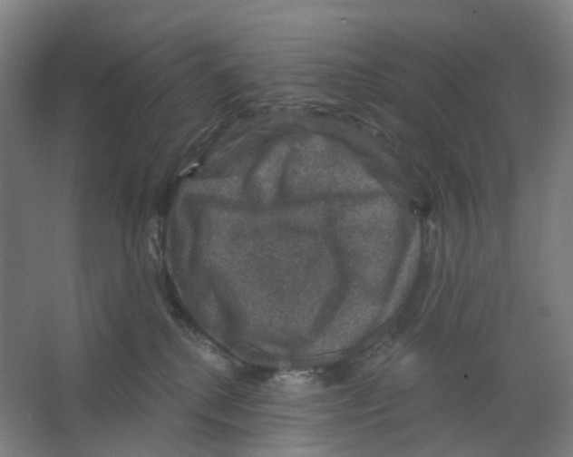 X0000066510280200604141756