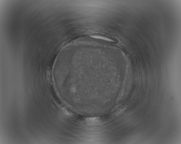 X0000066510281200604141756