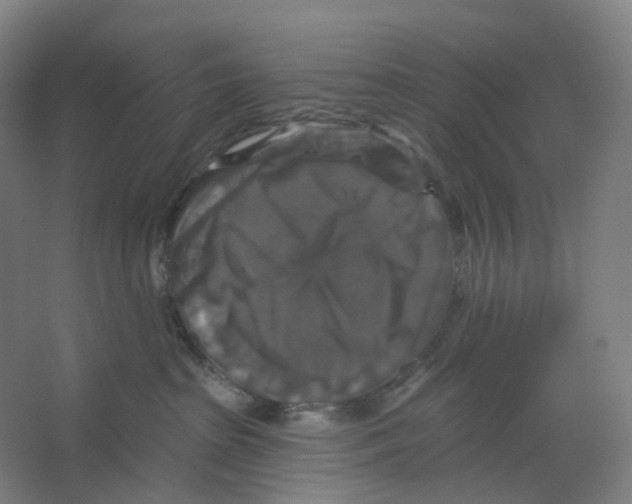 X0000066510285200604141756