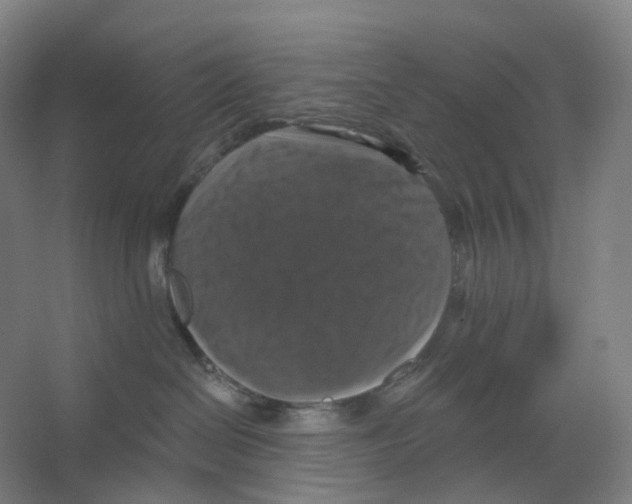 X0000066510286200604141756