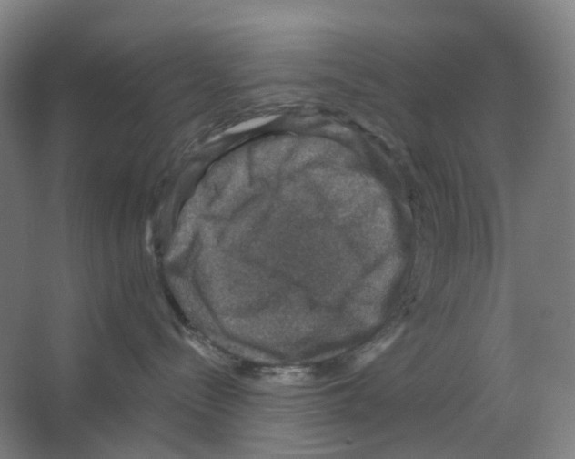X0000066510288200604141756
