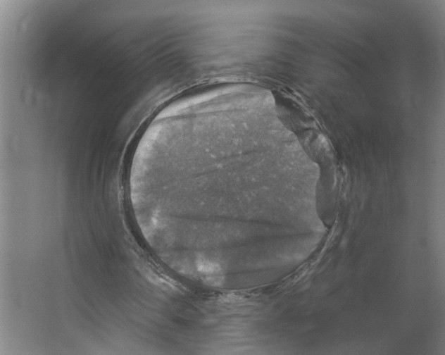 X0000066510290200604141755