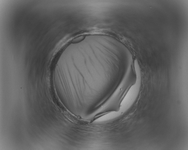 X0000066510295200604141755