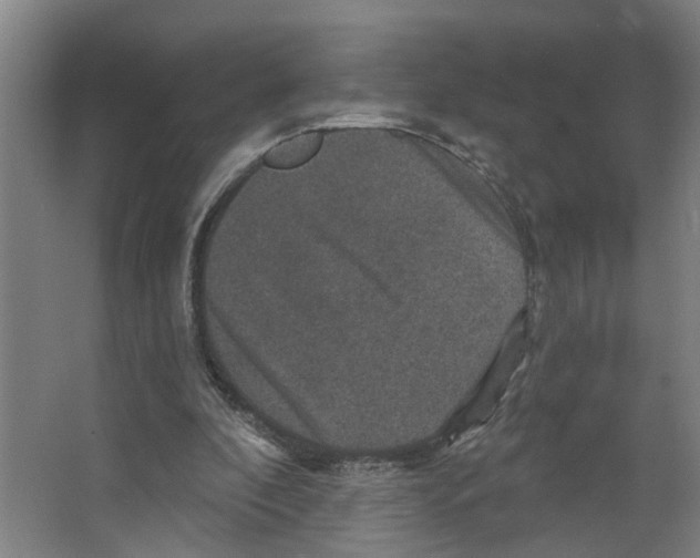 X0000066510296200604141755