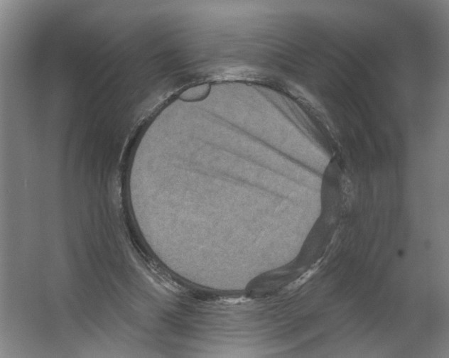X0000066510298200604141755
