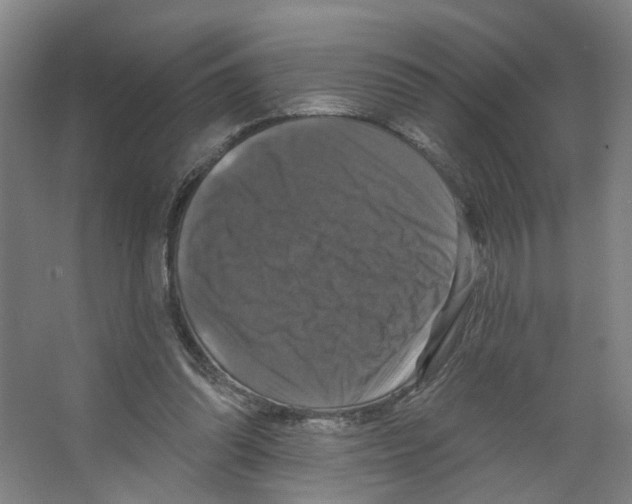 X0000066510302200604141755