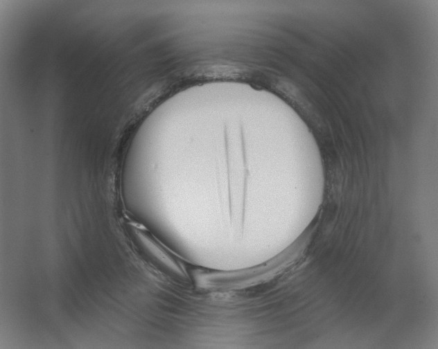 X0000066510309200604141755