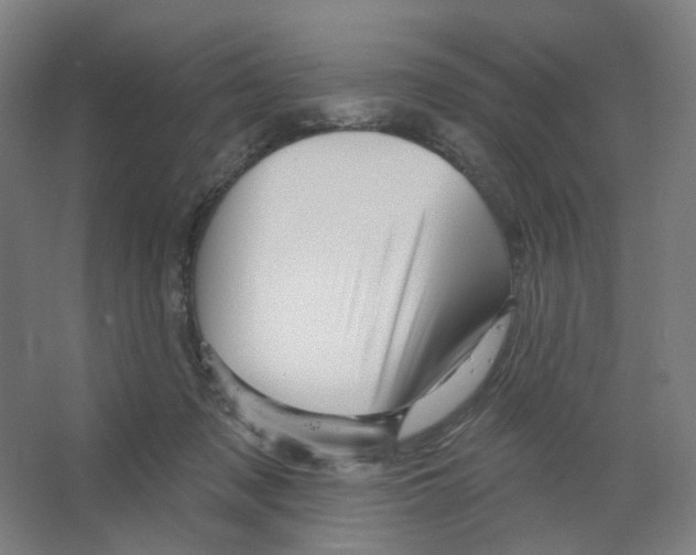 X0000066510317200604141755