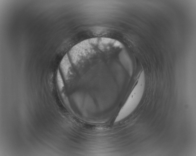 X0000066510319200604141755