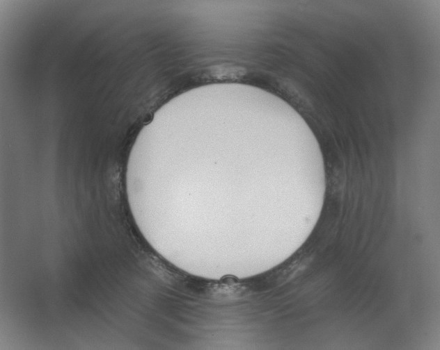 X0000066510321200604141755