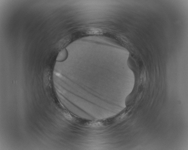 X0000066510322200604141755