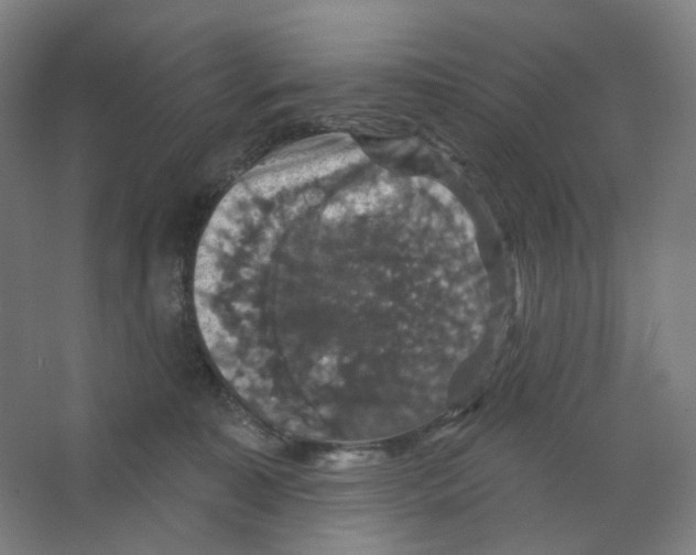 X0000066510323200604141755