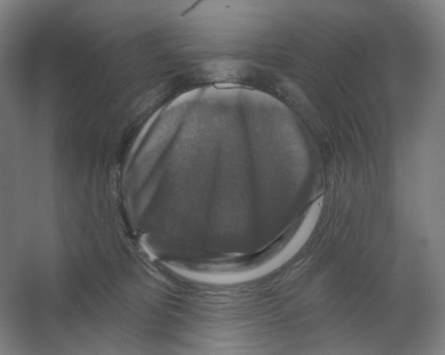 X0000066510325200604141755