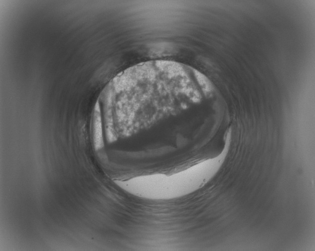 X0000066510327200604141754