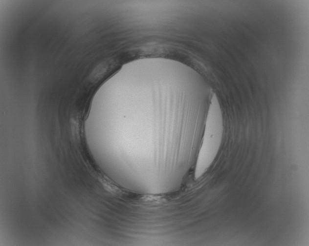 X0000066510333200604141754