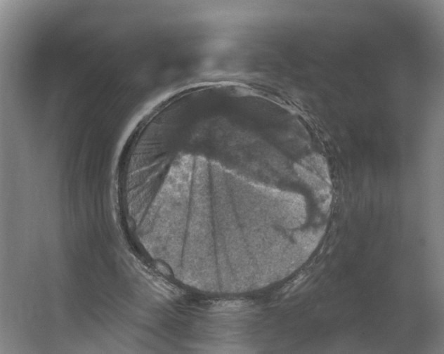 X0000066510342200604141754