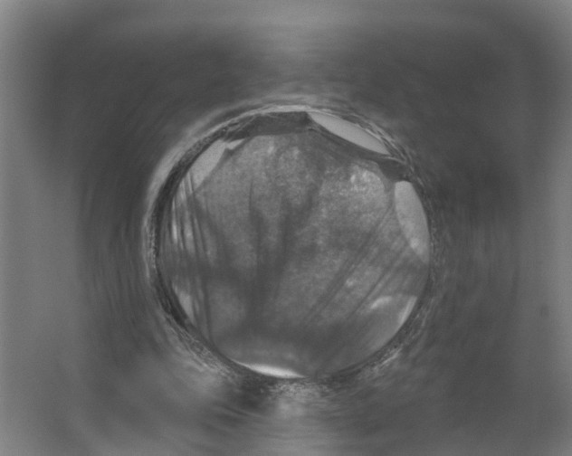 X0000066510343200604141754
