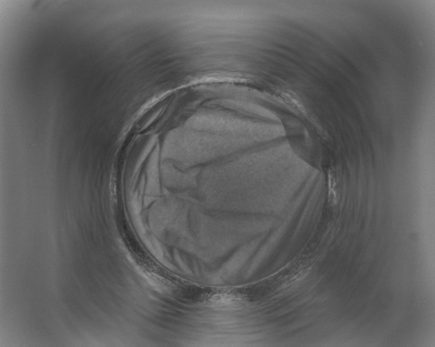X0000066510348200604141754