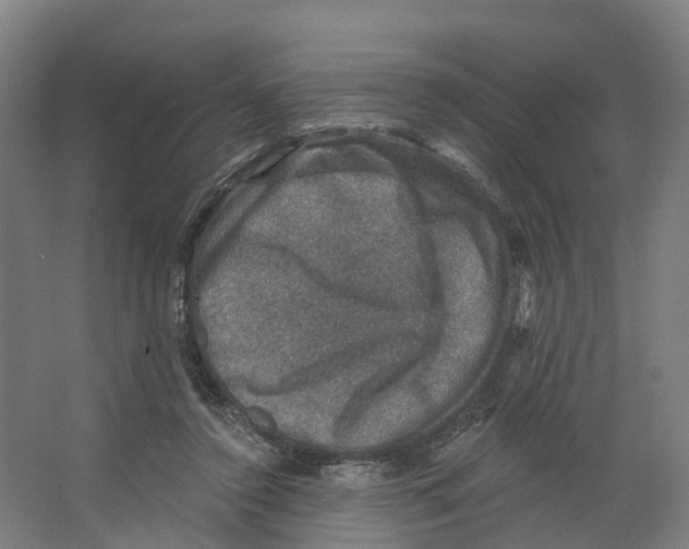 X0000066510356200604141754