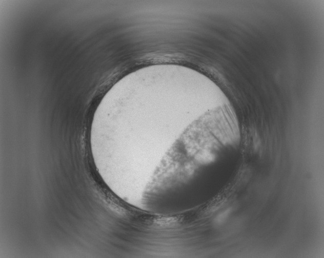 X0000066510357200604141754