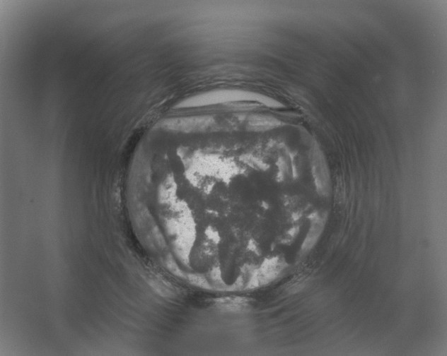 X0000066510363200604141754