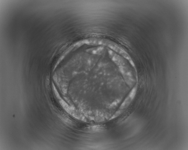 X0000066510365200604141754