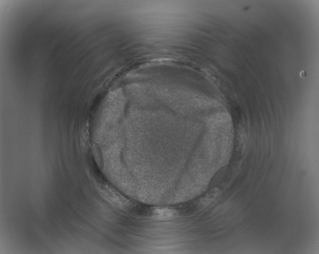 X0000066510376200604141754
