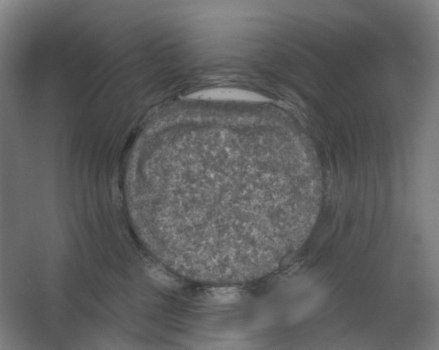 X0000066510377200604141754