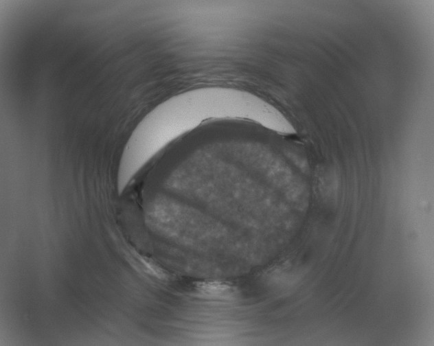 X0000066510380200604141754