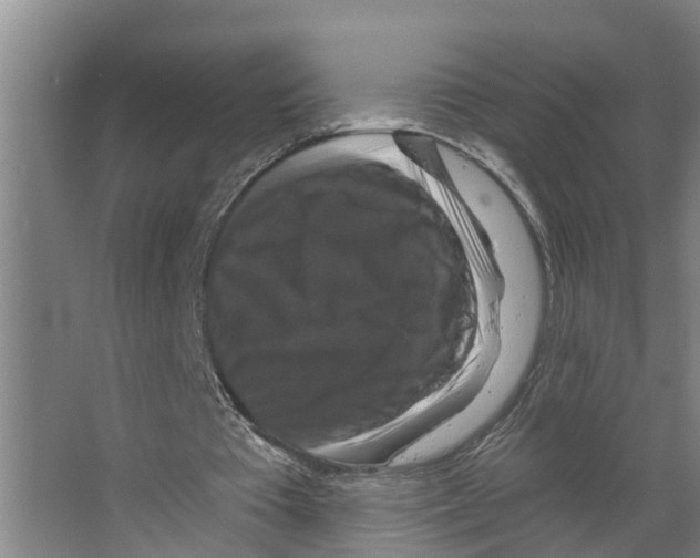 X0000066510385200604141754