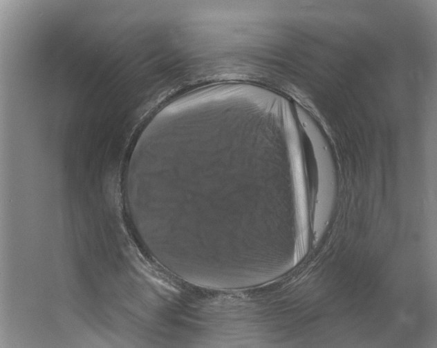 X0000066510386200604141753