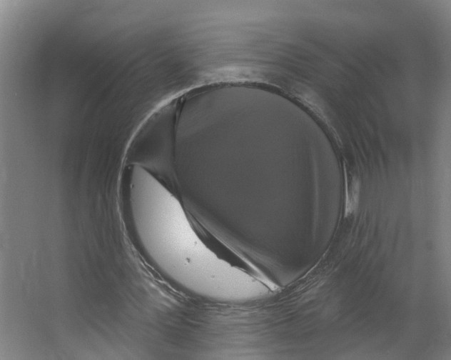 X0000066510387200604141753