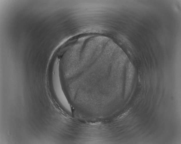 X0000066510388200604141753