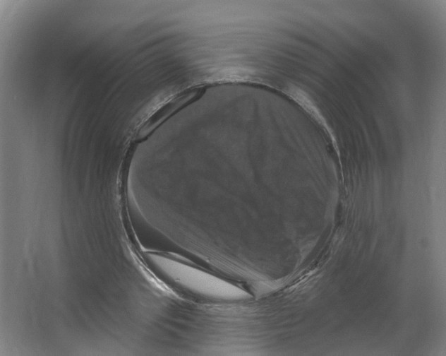 X0000066510389200604141753