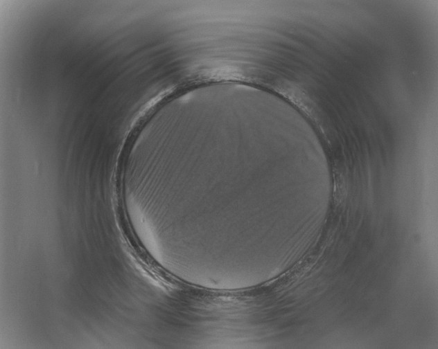 X0000066510390200604141753
