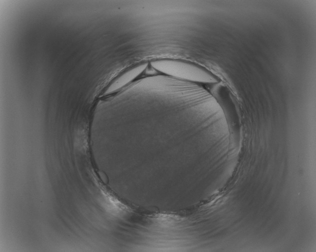 X0000066510393200604141753