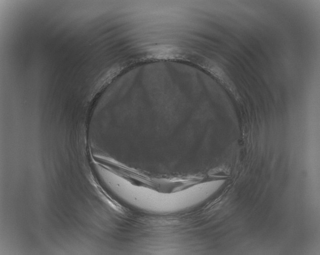 X0000066510397200604141753
