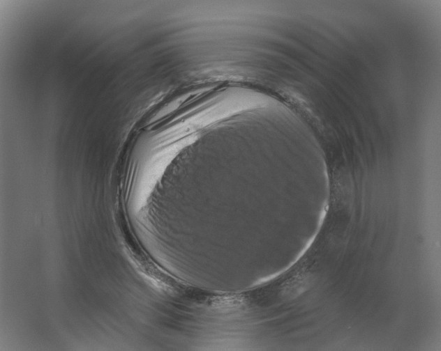 X0000066510398200604141753