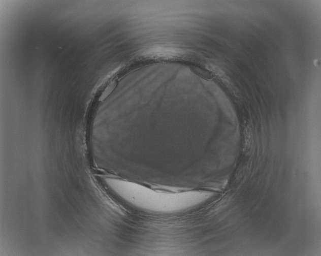 X0000066510399200604141753