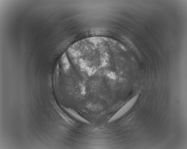 X0000066510401200604141753