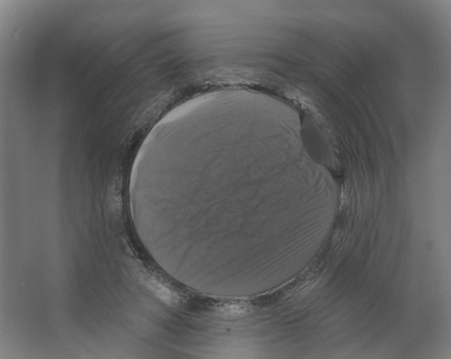 X0000066510402200604141753