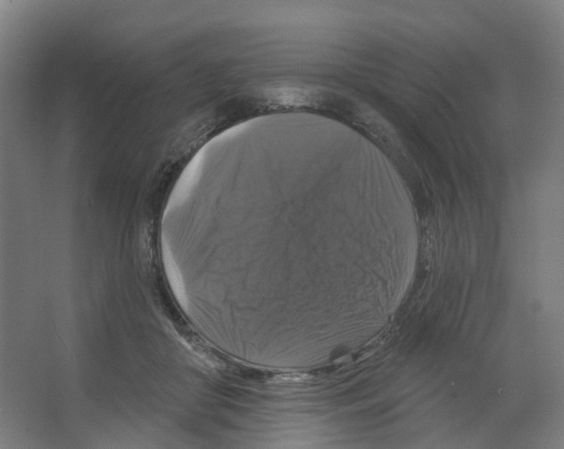 X0000066510410200604141753