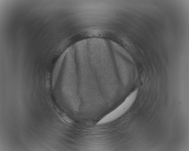 X0000066510413200604141753